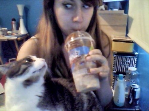 ollivander:  he really wanted my drink 