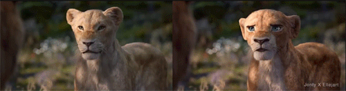 lionesshathor:  jlassijlali:   rainbowfang69: Fekken hell of an improvement  i just remember ..this movie   Legend of the Guardians: The Owls of Ga'Hoole     Photorealistic CGI is a perfectly good medium, Disney is just lazy. 