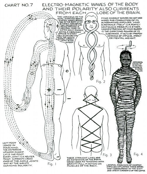 metanoia-world:  Polarity Therapy  Charts 1-10 &ldquo;The Wireless Anatomy of Man&