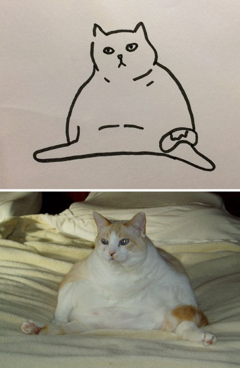 archiemcphee: Some might says that Brazilian artist Heloisa is really bad at drawing cats, but when 