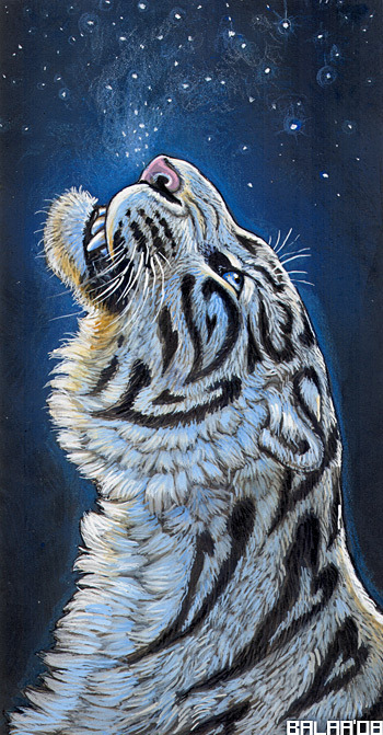 lohrien:  Illustrations by Anastasia KorochansckajadA l tumblr l shop
