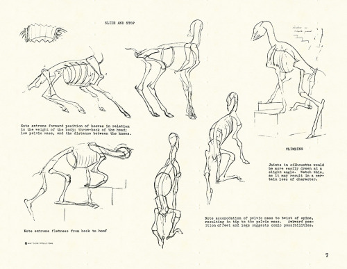 disneyconceptsandstuff: Skeletal Guidebook from Bambi by Rico LeBrun (Part 1 of 5)