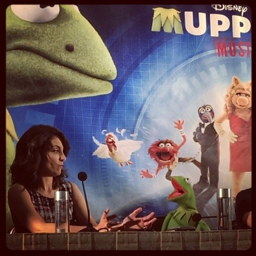 queenjld:March 9, 2014: Tina Fey speaking to Kermit at a Muppets Press Junket at the Beverly Hilton 
