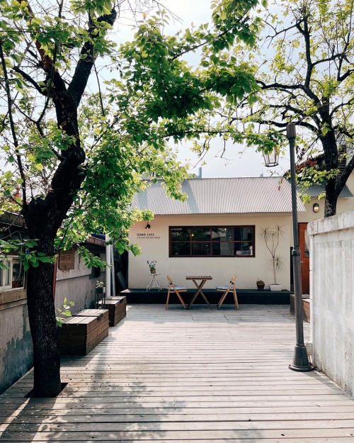 Daejeon’s Gumo Cafe and Cloud Bookshop.