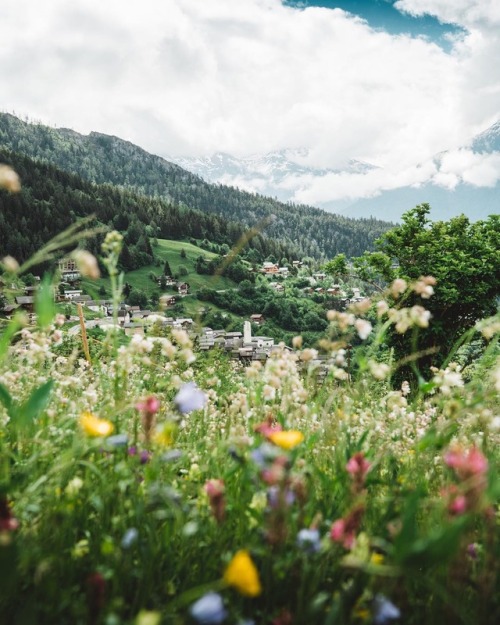 floralls: Switzerland by Marco Schnyder
