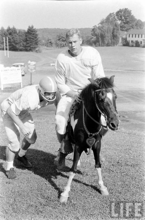 Cleveland Browns training camp(George Silk. n.d.)