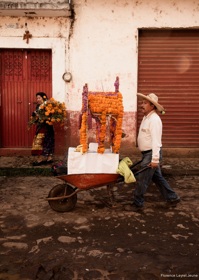 didyouseethewind:  On the 2nd of November, the altars are dismantled, then (almost)