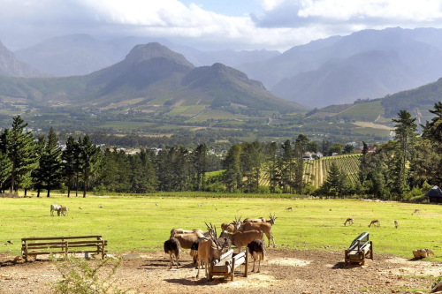 Sdafrika 2019 - Teil 4
