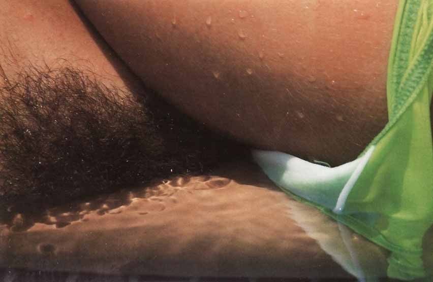 Hairy Pussy Land