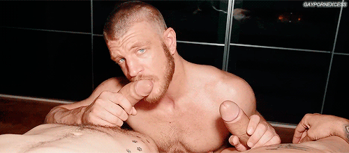 brokenalphamale: We found him in the gym. One look at that pompous roided muscle beast, and we knew that he had the potential to be a real muscle bitch. A fuck toy that we can use on a daily basis to spice up our sex life. Indeed, as soon as we brought