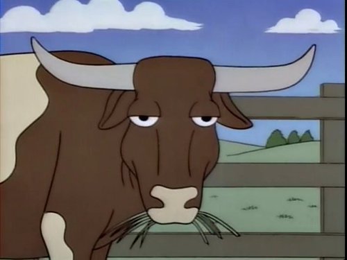Front Facing Cow from Bovine University(Lisa the Vegetarian)