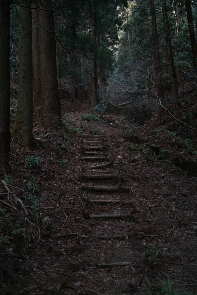 r2&ndash;d2:  Untitled 