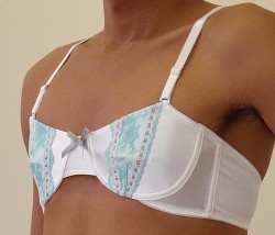 gobananafanna:  Wearing a pretty and comfy bra is like giving yourself a hug. 