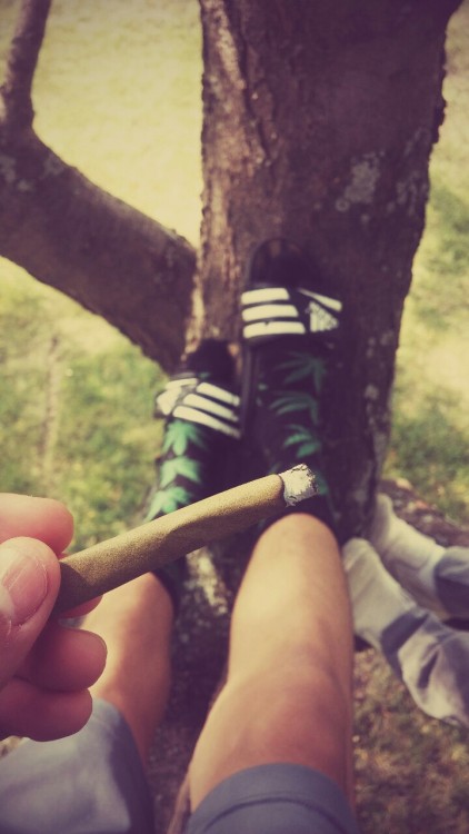 Burning trees