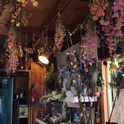 emmaallanpoe:  Photos from my adventures today 🌿 Willow Oak Flower and Herb Farm Instagram: Call_Me_Bishop 