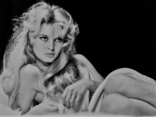 gatabella:  Brigitte Bardot by Peter Basch,