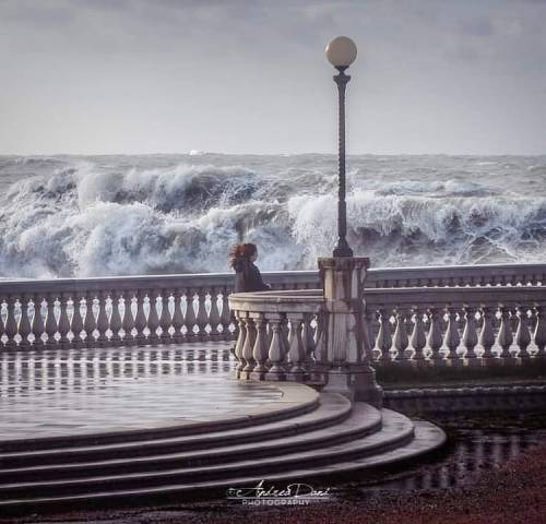 La tempesta dentro… #volgolivorno #andreadani #igerslivorno #boiade #betuscan #iltirreno #058