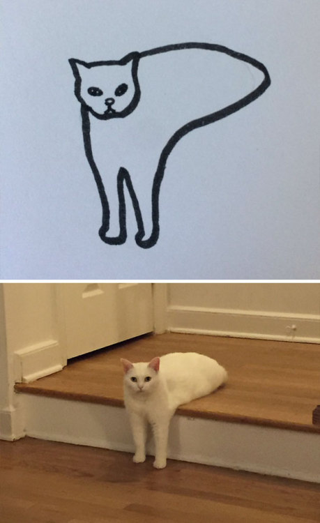 archiemcphee: Some might says that Brazilian artist Heloisa is really bad at drawing cats, but when 