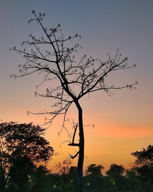 Watch The Sunset And Tell Me Again That The End Ofsomething Can't Be Beautiful. . . . . #VrVkrm #peace