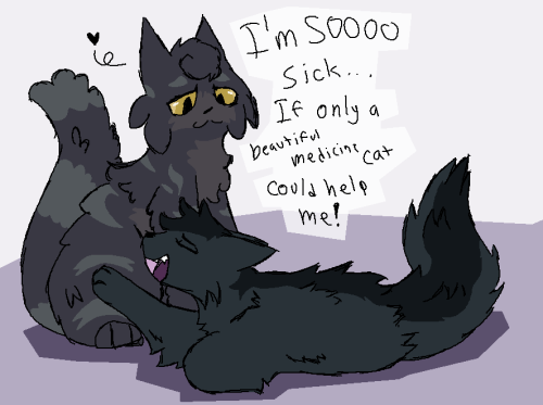 Union is watching as Rime Dart is being overdramatic on the floor, reaching a paw out saying, "I'm soooo sick... If only a beautiful medicine cat could help me!"