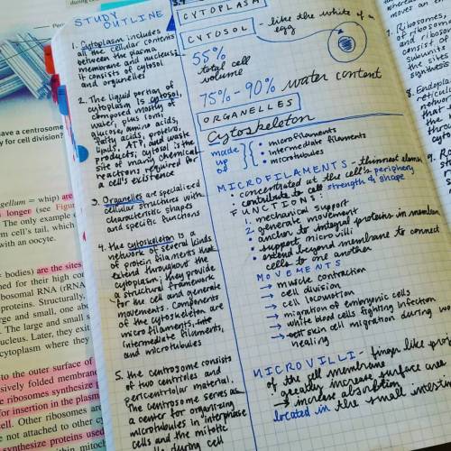 I’m really happy with my new review method!It looks so pretty!