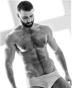 bearded + hairy 