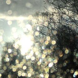 filoflife: Catherine Le Hénan Light after the rain