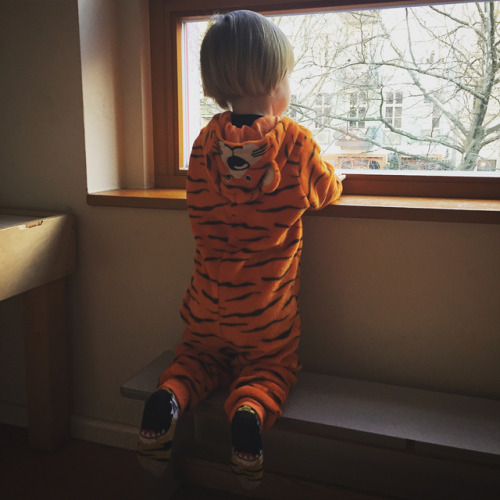 Creeping up on a ferocious tiger. #fasching #firstfasching #waylonsworld (at Prenzlauer Berg, Berl