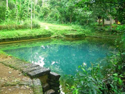 Temple pond, Kerala