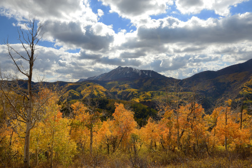 aspen