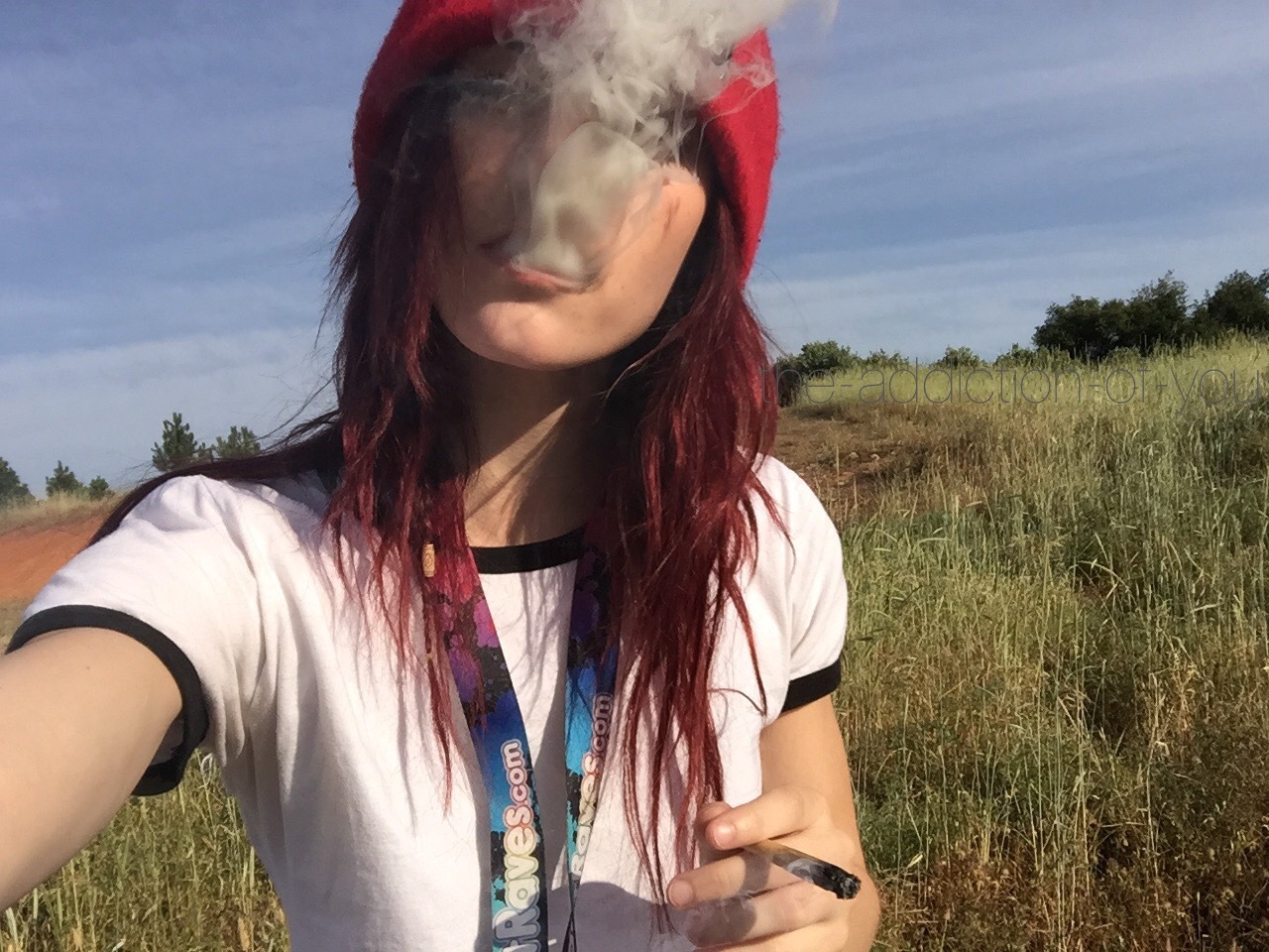 i use the tears of my enemies as bong water