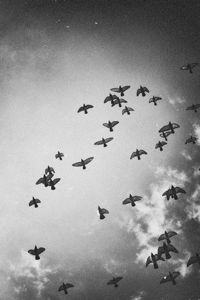 Fotografias e Sonhos