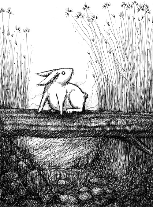 joncarling:  something follows…