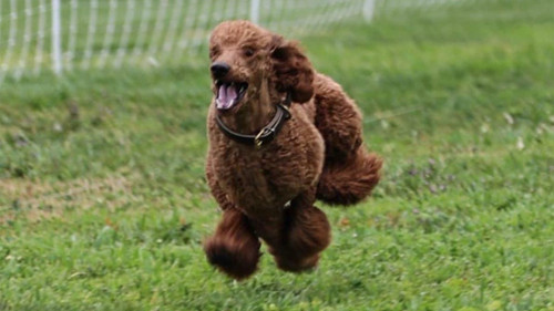 Me When Someone Says Mashed Potatoes: