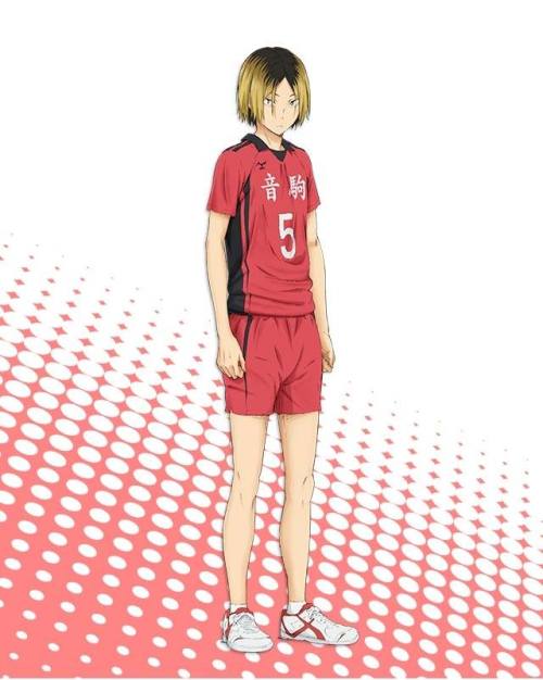 megumi86: Official anime page has been updated with Fukurodani, Nekoma and Shiratorizawa profiles. 