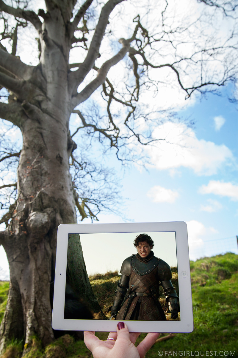 fangirlquest:  Our first ever Game of Thrones sceneframes are here, hurray!Head on