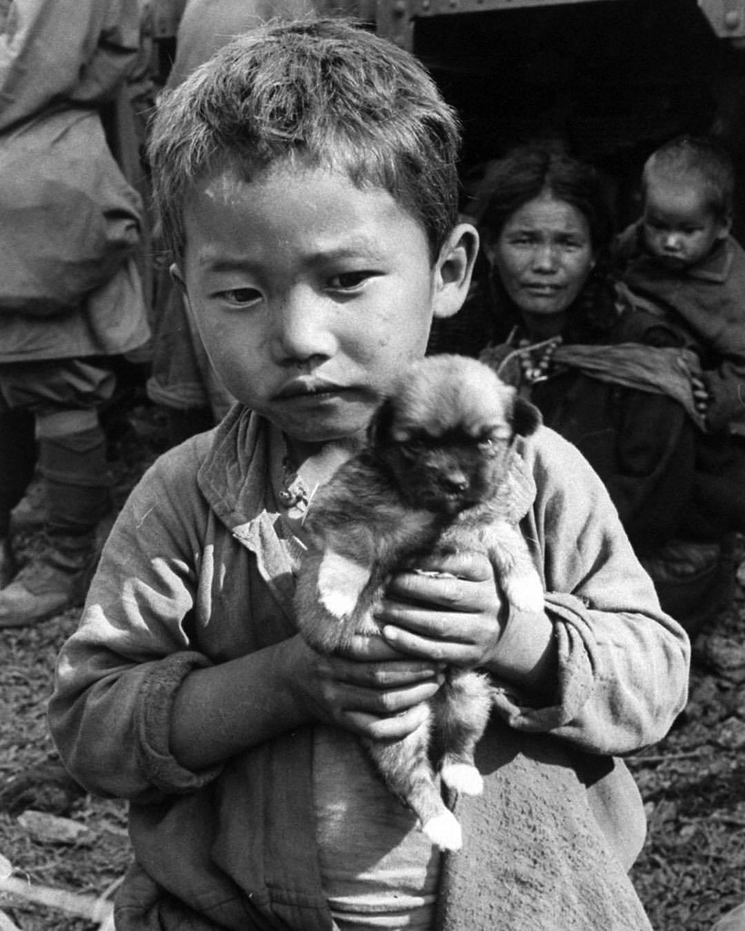 life:A refugee from Tibet with his puppy, during the border war between India and