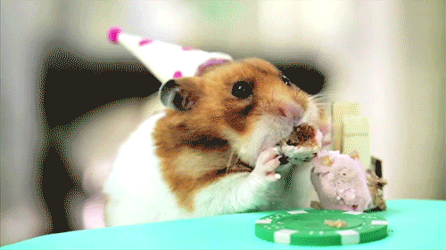 tastefullyoffensive:  Video: Tiny Birthday Party for a Tiny Hedgehog