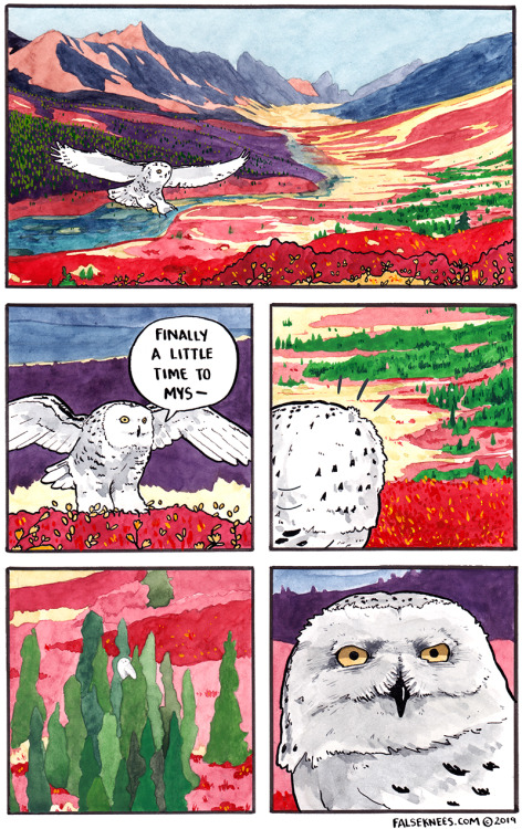 falseknees:Prints available in store