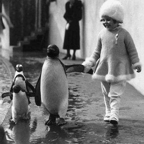 atraversso:  atraversso: A selection of the most heartwarming historic photos ever.    streetartglobe  on ig   Please don’t delete the link to the photographers/artists, thanks!   