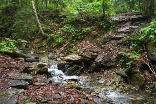 A stream on the trail to Stratton Mountain is swollen from rainstorms over the last few days.