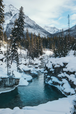 teapalm:  (Tasha Marie) | Marble Canyonprints