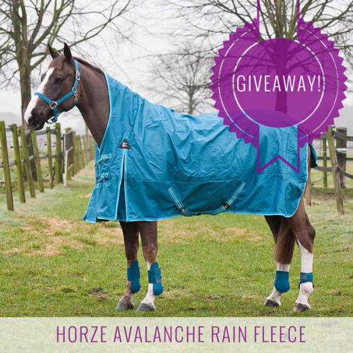 GIVEAWAY: Read this blog post to learn how to enter for a chance to win this gorgeous Saxony Blue Ho