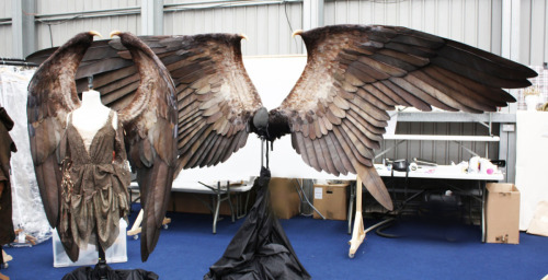 key-feathers:  Practical wings created as a starting point for the CGI ones on Maleficent!  I want to try and create a pair of wings of this size (personal project ;) ) These photos are a great inspiration! Source: http://disney.wikia.com/ 
