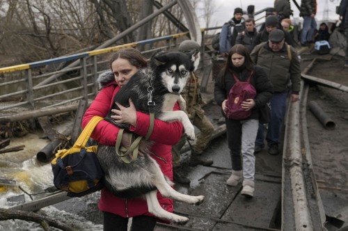 From Animals Can Be Refugees, Too, one of 24 photos. A woman carries a dog while crossing the Irpin 