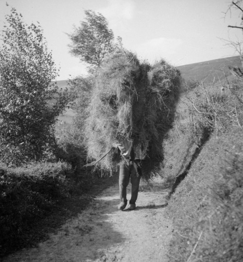 poboh:  Peasant life, Peasant carrying hay on his back. Ariège, 1931, François Kollar  (1904 - 1979)