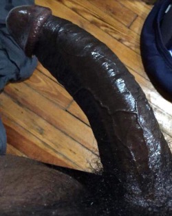 columbusoh4bbc:  Mouth watering dark black black cockI LOVE TO SUCK BIG BLACK COCK