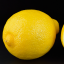 lemonbitess