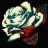 Ikki´s tumblr