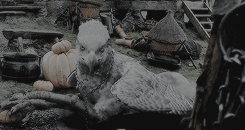 johnnvdepp:  For the first time in his life, he wanted his wand back in his hand,